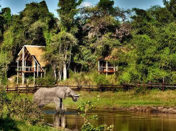 Camp Savuti Hotell Eksteriør bilde
